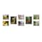 Wexel Art Gallery Wall Double Panel Acrylic Floating Frames Set of 8